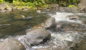 Trail Trail Petit-Bourg - INRA  - Photo 8