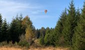 Tocht Stappen Waimes - Sourbrodt - Schwarzbad - Photo 1