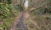 Tour Wandern Modave - Pont de Bonne 060224 - Photo 3