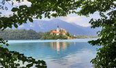 Trail Walking Bled - bled - tour du lac - Photo 4
