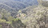 Tocht Stappen Les Arcs-sur-Argens - la forêt des Apiés - Photo 2