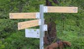Trail Walking La Thuile - laghi Di bellacomba - Photo 1