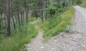 Trail Walking Lantosque - Sauma Longa - Photo 5