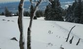 Randonnée Raquettes à neige Sainte-Croix - Col des Etroits Le Chasseron CAF - Photo 14