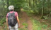 Trail Walking Monschau - Autour et dans Monschau - Photo 4