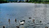 Randonnée Marche Vielsalm - Lac des Doyards - Photo 4