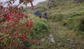 Tour Wandern West Cork - Ardgroom -  Eyeries - Photo 3