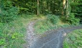 Trail Walking Reugny - Reugny - Vignes et Brenne - Photo 17