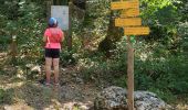 Trail Walking Aiguebelette-le-Lac - aiguebelette, col du crucifix - Photo 9