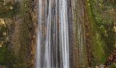 Tour Zu Fuß Wald (ZH) - Wald - Farneralp - Photo 3