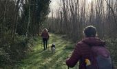 Tocht Noords wandelen Lesparre-Médoc - St Trelody Médoc - Photo 1