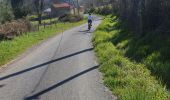 Tocht Mountainbike Brioude - promenade avec canette - Photo 2