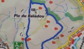 Randonnée Marche Saint-Raphaël - Tour du Pic du Baladou - Photo 1