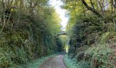 Trail Walking Noroy-le-Bourg - Noroy - le tacot- La Croix mercier -noroy - Photo 3
