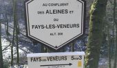 Tocht Stappen Paliseul - Balade de Fays les Veneurs - Photo 6