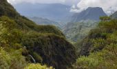 Tour Wandern Salazie - Boucle Col de Fourche depuis Le Belier - Photo 6