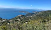 Randonnée Marche Èze - Panoramas autour de EZE - Photo 7