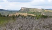 Tocht Stappen Solutré-Pouilly - Solutré Vergisson 2 roches - Photo 1