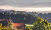 Tocht Stappen Cunlhat - Cunlhat_Chemin_Ronde_JG_02 - Photo 1