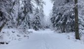 Randonnée Raquettes à neige Lans-en-Vercors - 5,8km R Lans-en-V Vertige des Cimes AR - Photo 1