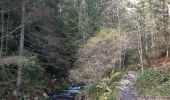 Tour Wandern Malmedy - malmedy . ferme libert .  tro maret . ferme libert . malmedy par les crêtes  - Photo 13