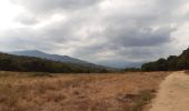 Trail Walking Le Perthus - palissades.  la carboniere . fort de bellegrade . panissars - Photo 14