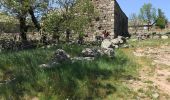 Trail Walking Pont de Montvert - Sud Mont Lozère - La Croix de Berthelot pont du Tarn - Photo 2