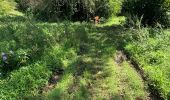 Percorso Marcia Sainte-Anne - Liard saint Robert  - Photo 5