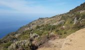 Tocht Stappen Riomaggiore - RA 2019 Cinque Terre Riomaggiore Porto Venere - Photo 6