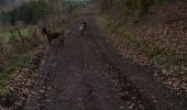 Tocht Stappen Stoumont - chevron ( promenade de la chapelle ) - Photo 9