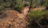 Trail Walking Roussillon - Roussillon  - Photo 6