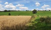 Trail Walking Dinant - FOY GPX BERLAGE - Photo 12