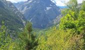Trail Mountain bike Les Vigneaux - Les Vigneaux  - Chambran  - Photo 1