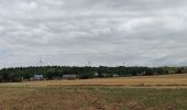 Randonnée Marche Mettet - Devant les bois, Sart Eustache, Biesme - Photo 14