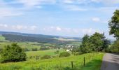 Percorso A piedi Vallée de l'Ernz - E6 - Ermsdorf - Photo 4