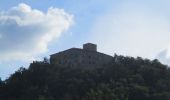 Tour Zu Fuß Quattro Castella - Percorso del Parco Bianello - Photo 4