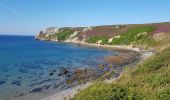 Tour Wandern Camaret-sur-Mer - PR12 de Pen Hir à Camaret et retour - Photo 3