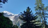 Trail Walking Chamonix-Mont-Blanc - Chalet des Pyramides 1895m 11.7.22 - Photo 16