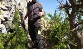 Tour Wandern Saint-Rémy-de-Provence - Mt Gaussier - Photo 6
