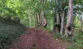 Percorso Marcia Theux - tancremont - mousset versant vesdre retour via versant hoegne - Photo 4