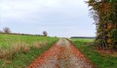 Trail Walking Libramont-Chevigny - Entre Vierre et Ourthe - Photo 20