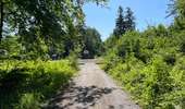 Randonnée Marche Rethondes - en Forêt de Laigue, 04_07_2025_sur les Routes du Grand Octogone, du Plessis-Brion, de Sainte-Croix, du Petit Octogone et de la Belle Assise - Photo 10