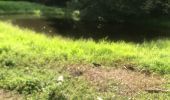 Trail Walking Sainte-Anne - Saragotte  - Photo 2