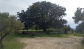 Trail Walking Cotignac - sommet du Bessillon - Photo 1