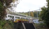 Percorso A piedi Langenprozeltener Forst - Roter Hase, Rundwanderweg Sinderbachtal - Photo 2