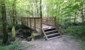 Tour Wandern Artannes-sur-Indre - Artannes-sur-Indre - Zig zag Pont-de-Ruan - 22.1km 280m 4h50 (40mn) - 2024 04 22 - Photo 3