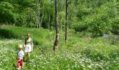 Trail On foot Houyet - GrWandArdRiv27: Gendron: een prachtig stuk Beneden-Lesse (PVDB) - Photo 11
