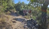 Trail Walking Collobrières - plateau Lambert en partant de Collobrieres - Photo 12