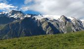 Randonnée Marche La Grave - Plateau d'Emparis - Photo 10