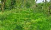 Tocht Stappen Plougras - Autour de Plougras, abord de Guerlesquin - Photo 14